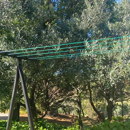Petit Coin De Paradis En Provence オープス エクステリア 写真
